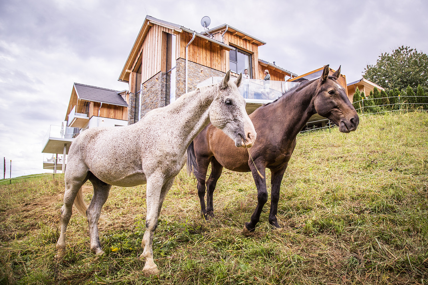 Urlaub mit dem eigenen Pferd in der Südsteiermark